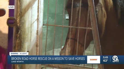 Broken Road Horse Rescue in Lake Worth saves horses