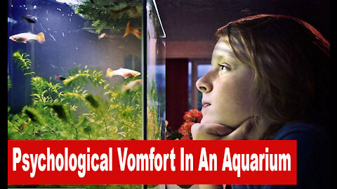 Psychological comfort in an aquarium