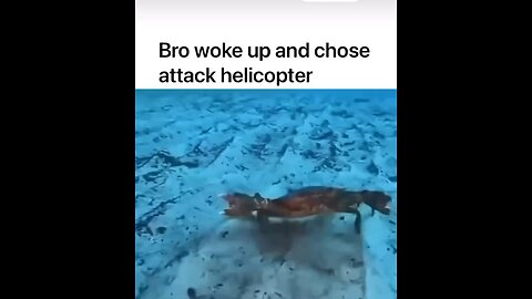 Helicopter bro