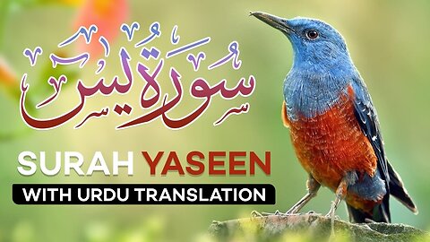 Surah Yasin _ Yaseen with Urdu Translation_ Quran Tilawat _ Tarjuma Ke Sath
