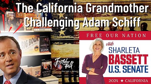 The California Grandmother Challenging Adam Schiff