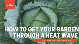 How To Get Your Garden Through A Heat Wave. Protecting Your Garden From Extreme Heat!