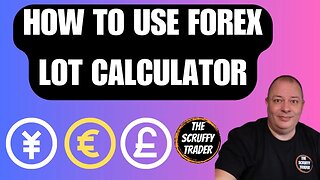 HOW TO USE A PIP CALCULATOR TO FIND LOT SIZE = DAY TRADE FOREX