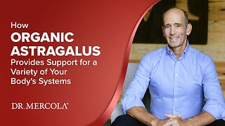 How ORGANIC ASTRAGALUS Provides Support for a Variety of Your Body's Systems