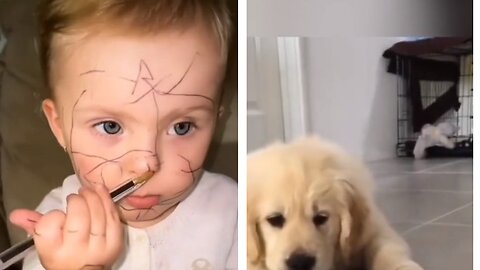 Cutest Baby and Animal Moments Caught On Camera