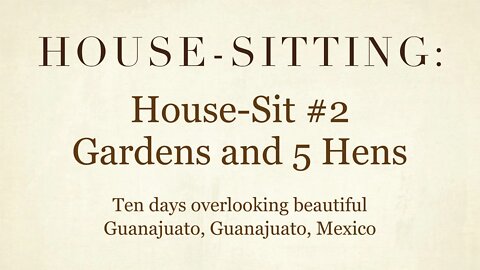 House-Sitting » House-Sit #2 » Gardens and 5 Hens » Guanajuato, Guanajuato, Mexico