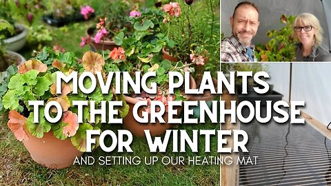 🌿 Moving Plants Into the Greenhouse for Winter 🌿