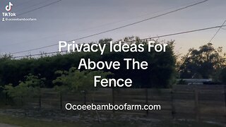 How To Create Privacy Above Your Fence