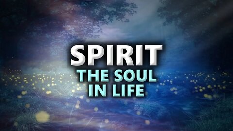 Spirit: The Soul In All Life