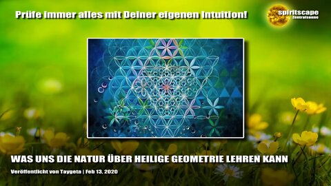 WAS UNS DIE NATUR ÜBER HEILIGE GEOMETRIE LEHREN KANN - Transinformation