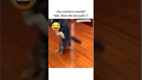 #Shorts - Memes da internet - Vídeos Engraçados #memesdainternet