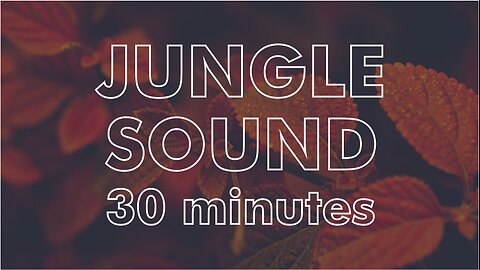 JUNGLE SOUND FOR RELAX MOMENT 30 MINUTES