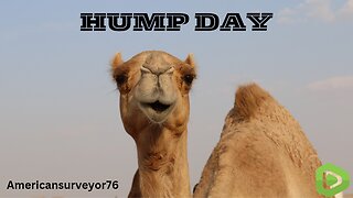 Mike, Mike, Mike...what day is it? HUMPDAYYYY