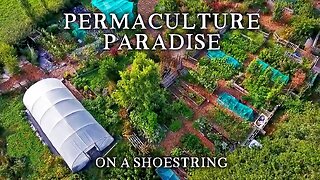 Inspirational Small-Scale Permaculture Homestead | Low Cost Self-Sufficiency on Less Than an Acre