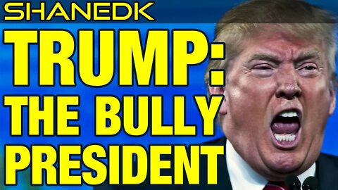 Trump, the Bully President (TikTok ban)