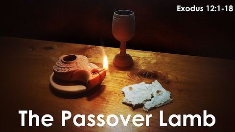 The Passover Lamb