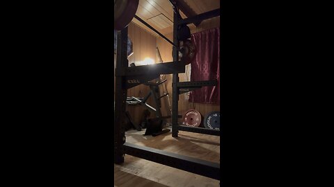 430 lbs training max on the squat/narrow stance/belt