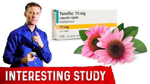 Echinacea is as Effective as Tamiflu for the Flu