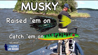 Score BIG on MUSKIES with this Trick!