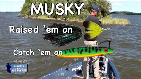 Score BIG on MUSKIES with this Trick!