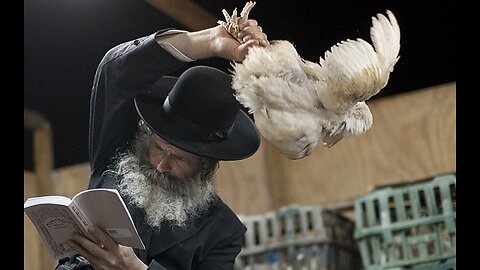 KAPPAROT - AN ANNUAL ORTHODOX JEWISH CHICKEN RITUAL THAT HAPPENS IN NEW YORK CITY🐔