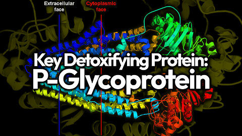 Binary Weapon Ready? Cellular Detox Protein P-Glycoprotein UNDER MASSIVE ATTACK (Call Ins & Debates)