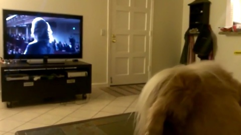 Howling dog sings along with opera singer
