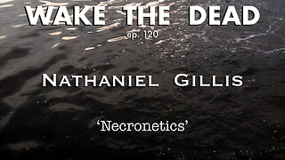 WTD ep.120 Nathaniel Gillis 'Necronetics'