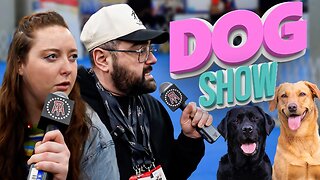 Meet The Breeds Dog Show ft Grace O'Malley | Out & About Adventures Ep 2