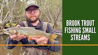 Brook Trout Fishing Small Streams / Michigan Brook Trout Fishing / Trout Fishing Videos
