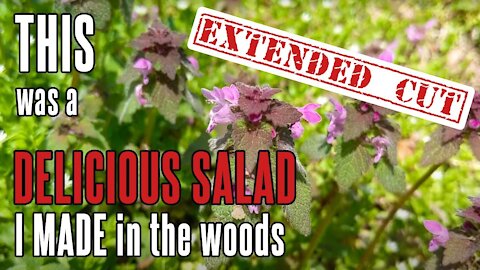 [EXTENDED CUT] I Made & Ate a Trailside Salad in the Woods | Wild Edible Recipe While Morel Hunting