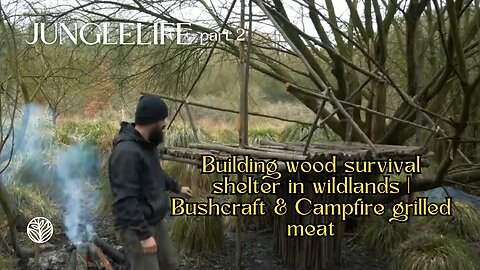 Building wood survival shelter in wildlands | Bushcraft & Campfire grilled meat 2