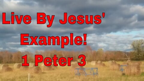 Live by Jesus' Example | Bible Devotions-1 Peter 3 | Small Family Adventures