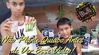 Como GERMINAR TODAS as SEMENTES de QUIABO #diygarden #hortaorganica #quiabo