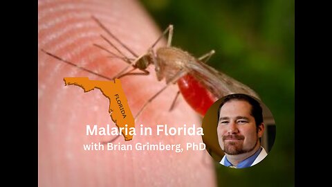 Malaria in Florida, What is Plasmodium vivax?