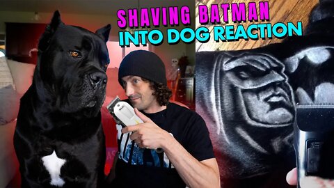 Shaving BATMAN Into Dog Reaction!