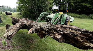 Pallet Forks Moving Logs John Deere Compact Tractor