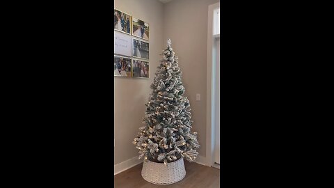 Christmas Tree Ideas - How to build a Hydrangea Tree