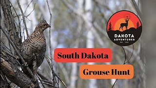 South Dakota Grouse Hunt