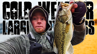 Cold Weather Largemouth Bass Fishing (Illinois Bank Fishing)