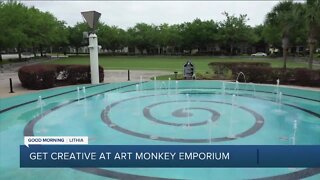 Art Monkey is Fishhawk's hub for arts and crafts