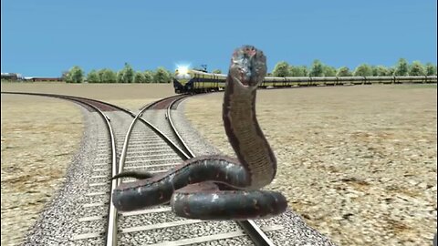 Anaconda stop train on the road