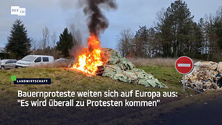 Bauernproteste weiten sich auf Europa aus: "Es wird überall zu Protesten kommen"