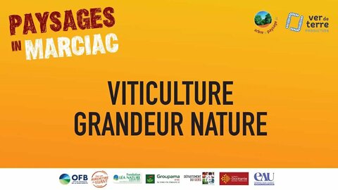 Paysages In Marciac 2021 : Jour 5 - Viticulture grandeur Nature