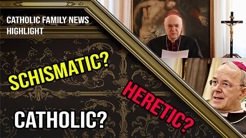 What does Bishop Schneider think of Archbishop Vigano?