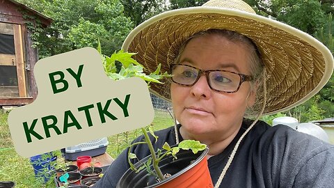 The Kratky Method - Growing Tomatoes in My Basement!