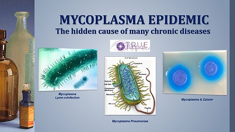 THE MYCOPLASMA EPIDEMIC - CAUSES AND SOLUTIONS | True Pathfinder