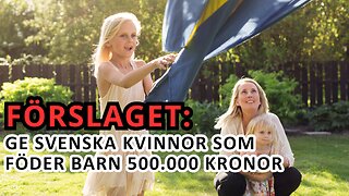 Programpunkten 7: Ge alla svenska kvinnor 500.000kr om de föder barn