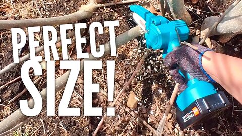 Best Affordable Mini Cordless Chainsaw