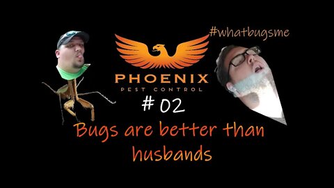 02 Bugs are better than Husbands because... #whatbugsme